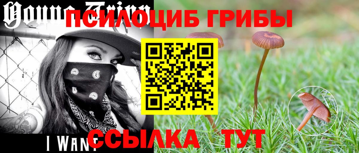 закладки  Псилоцибиновые грибы мухоморы  Вход с VPN  Тюмень  Галлюциногенные грибы мицелий 