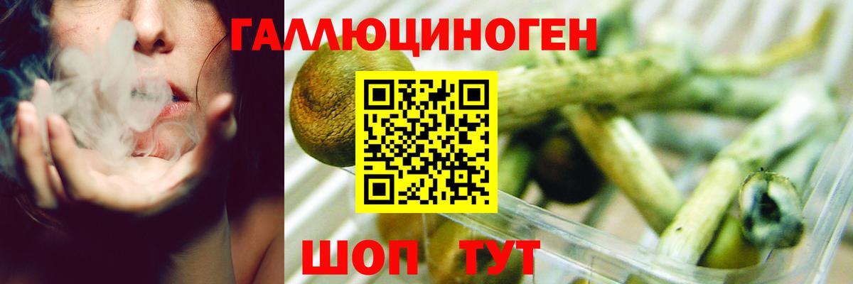 Галлюциногенные грибы Cubensis Тюмень